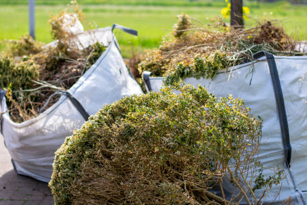 Best Professional Junk Removal  in Holly Springs, MS