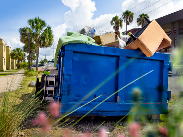 Best Basement Cleanout Services  in Holly Springs, MS